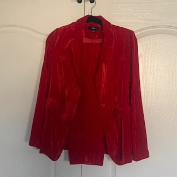 Red Crushed Velvet Blazer & Wide Leg Pants - Picture 4 of 12
